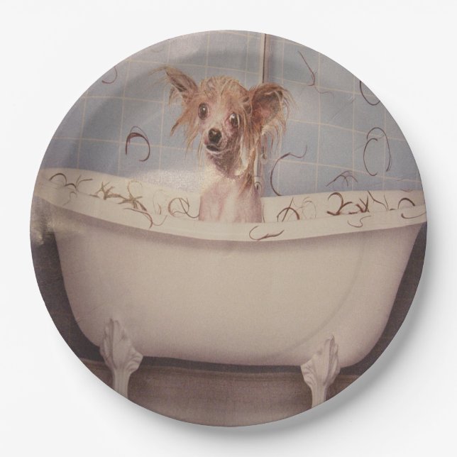 BATHING PUPPY PAPER PLATES (Front)