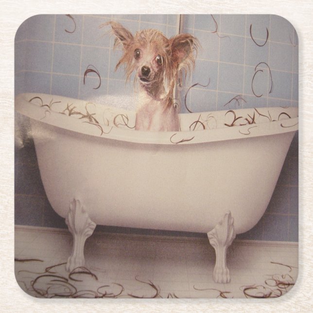 BATHING PUPPY SQUARE PAPER COASTER (Front)