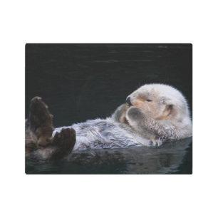 Bathing Sea Otter Photographic Metal Print