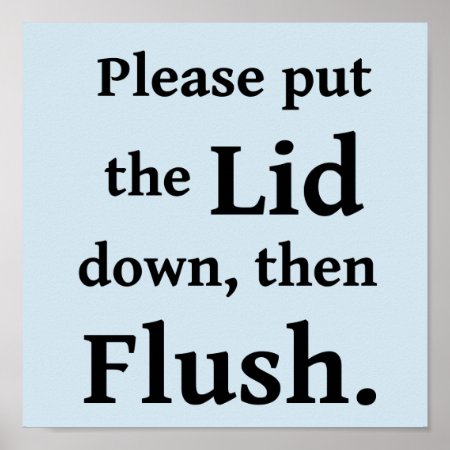 Bathroom Flush Poster