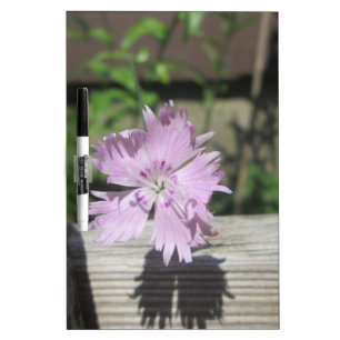 Baths Pink Dianthus on Fence Dry-Erase Board