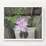 Baths Pink Dianthus on Fence Mouse Pad
