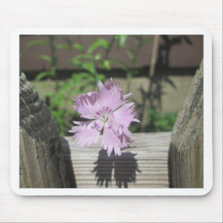 Baths Pink Dianthus on Fence Mouse Pad