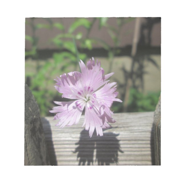Baths Pink Dianthus on Fence Notepad (Front)