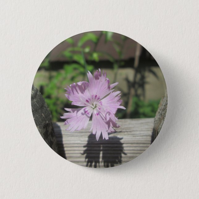 Baths Pink Dianthus on Fence Pinback Button (Front)