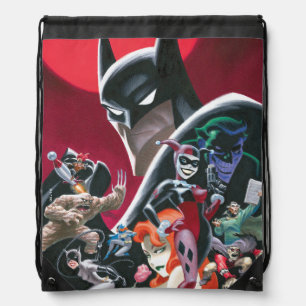 Batman Adventures Dangerous Dames & Demons Drawstring Bag