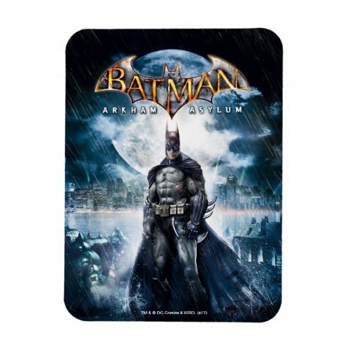 Batman Arkham Asylum  Game Cover Art Magnet