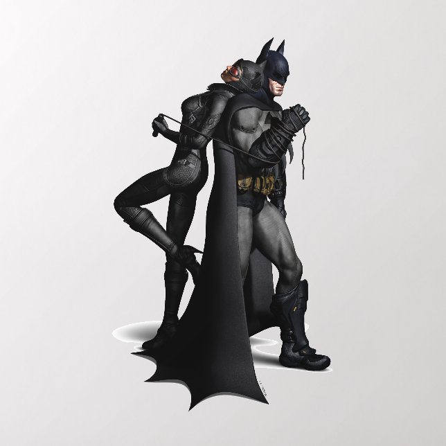 Batman Arkham City | Batman and Catwoman Wall Decal (Insitu 2)