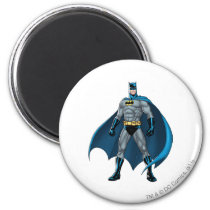 Batman Protector Magnet