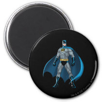 Batman Protector Magnet