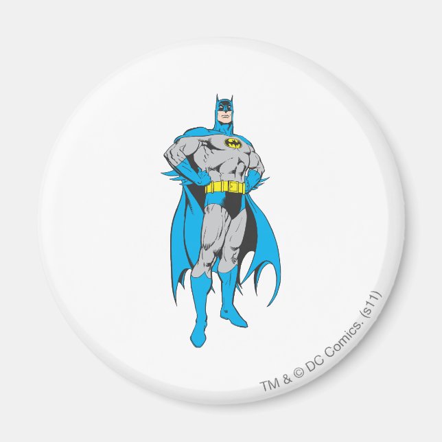 Batman Stands Magnet (Front)