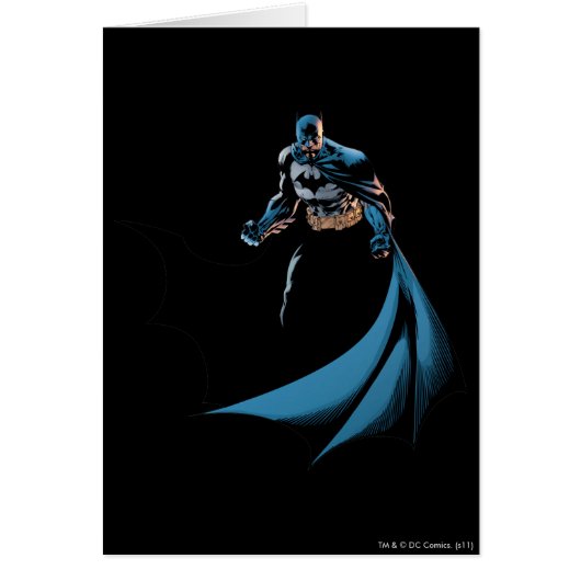 Batman whip around (Front)