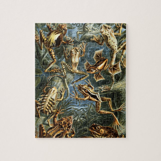Batrachia Frogs by Ernst Haeckel Jigsaw Puzzle (Vertical)