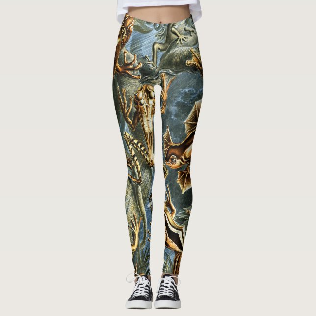 Batrachia Frogs by Ernst Haeckel Leggings (Front)