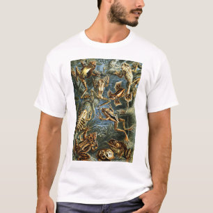 Batrachia Frogs by Ernst Haeckel T-Shirt