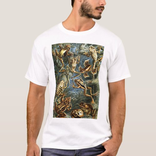 Batrachia Frogs by Ernst Haeckel T_Shirt