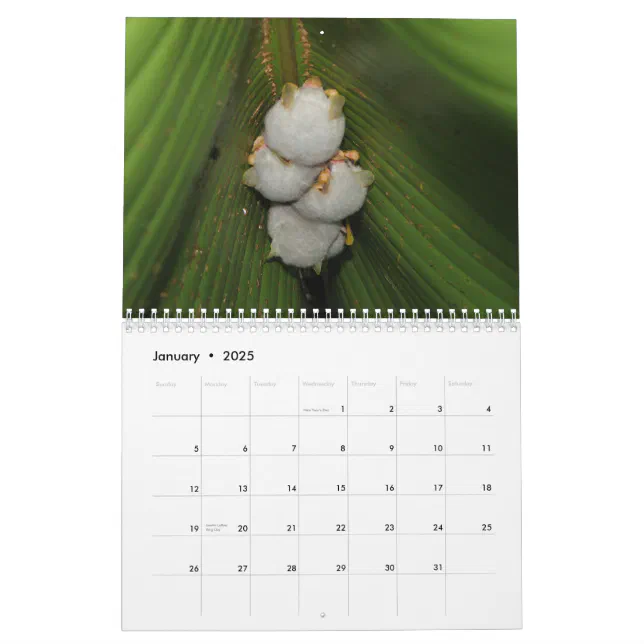 Bats Calendar Zazzle