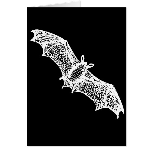 Bats Cards (Front)