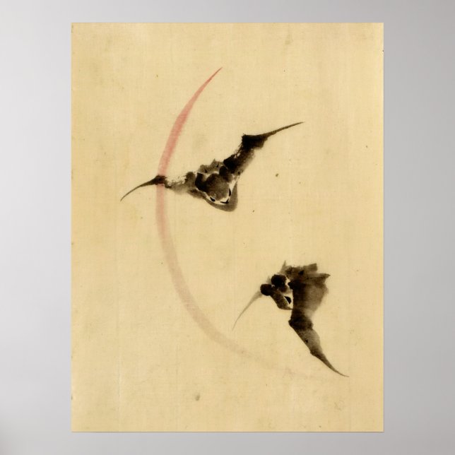 Bats Flying 1840 Poster (Front)