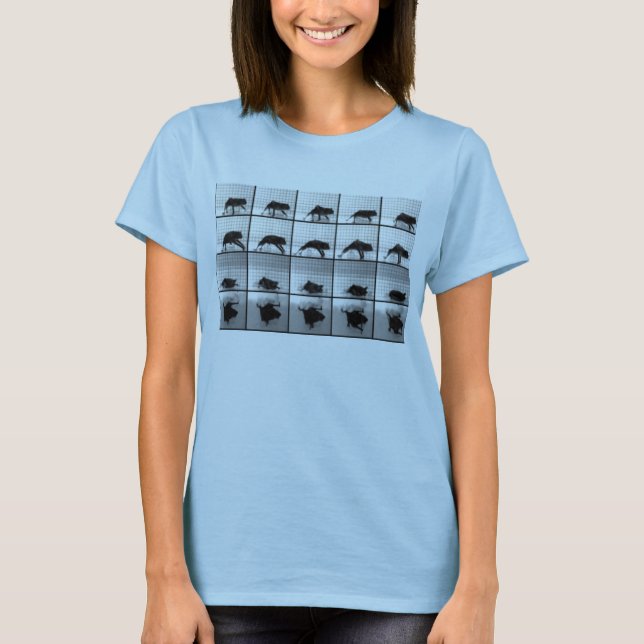 bats on the go T-Shirt (Front)