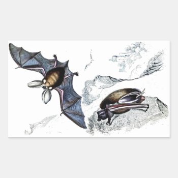 Bats Sticker by EndlessVintage at Zazzle