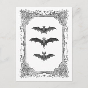 Bats Vintage Frame Halloween Postcard