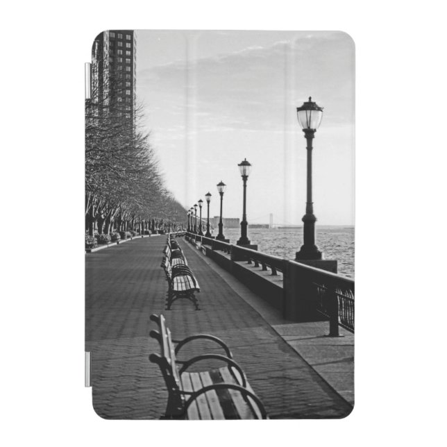 Battery Park City I iPad Mini Cover (Front)