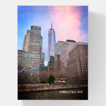 Battery Park from Staten Island Ferry NYC