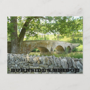 Battle of Antietam: Burnside's Bridge Postcard