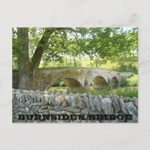Battle of Antietam Burnsides Bridge Postcard