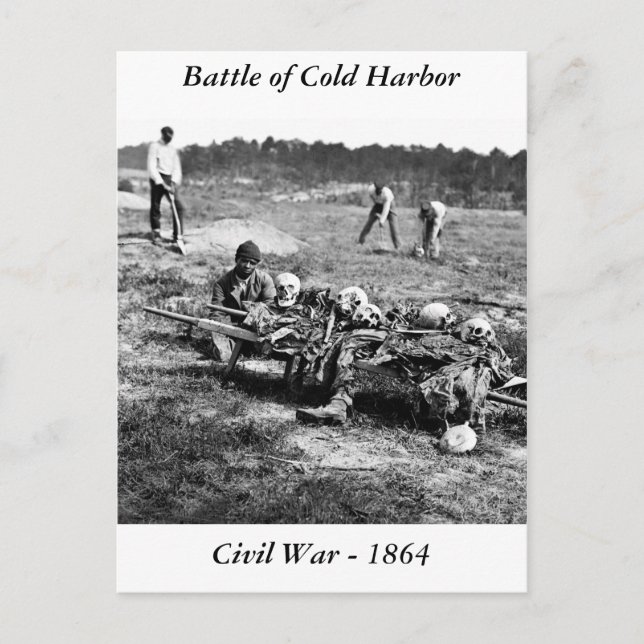 Battle of Cold Harbor, 1864 Postcard (Front)
