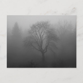 Baum im Nebel Postcard
