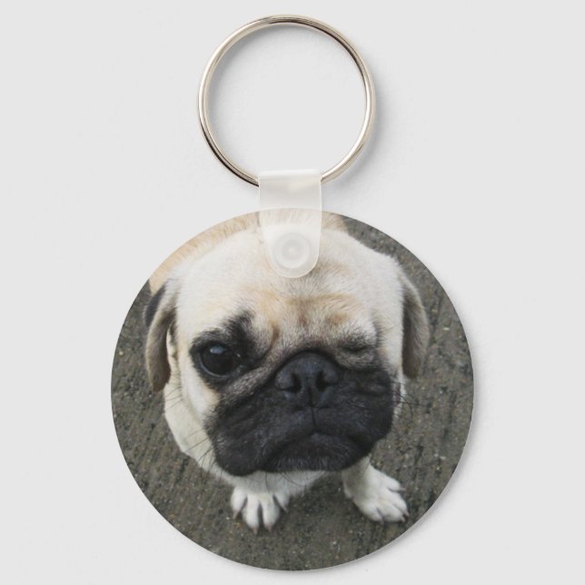Bauwk ... Pug Dog ... かわいい 子犬 Keychain (Front)