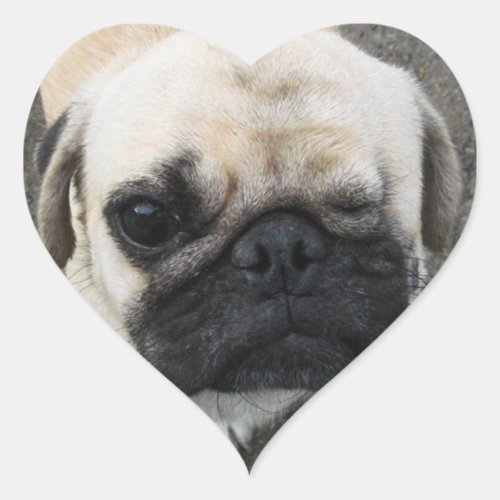 Bauwk  Pug Dog Puppy  かわいい 子犬 Heart Sticker