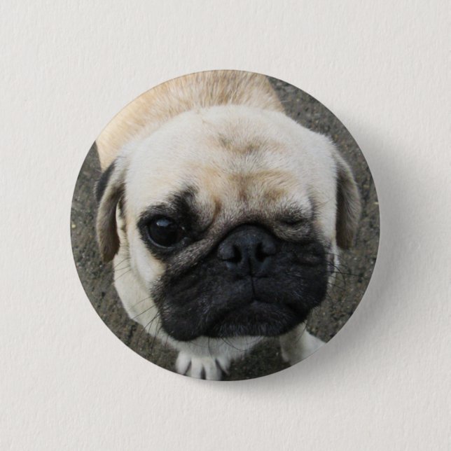 Bauwk ... Pug Dog ... Thailand Button (Front)