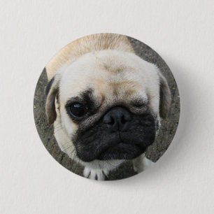 Bauwk ... Pug Dog ... Thailand Button