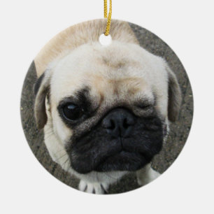 Bauwk ... Pug Dog ... Thailand Ceramic Ornament