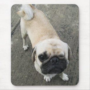 Bauwk ... THAI PUG DOG Mouse Pad