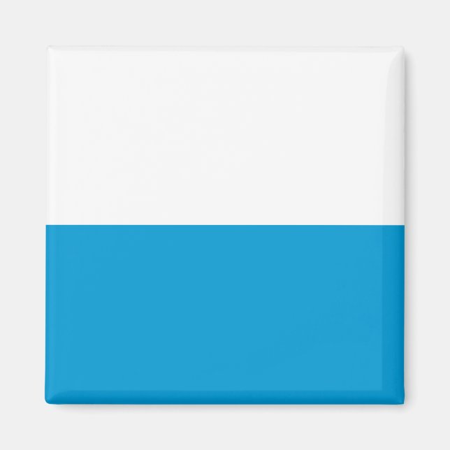 Bavarian Flag Magnet (Front)