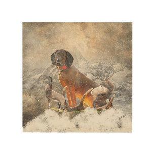 Bavarian Mountain Hound,  Art 