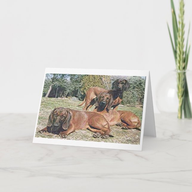Bavarian Mountain Hound Dog Blank Greeting Card (Front)