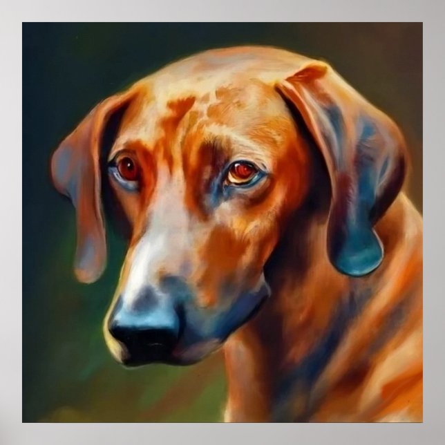  Bavarian Mountain Hound - Dog Portrait Poster (Front)