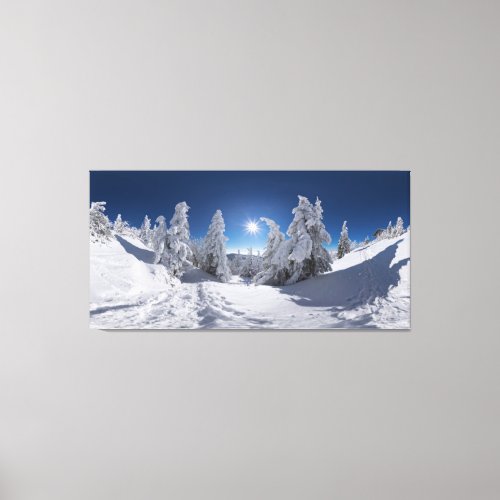 Bavarian Winter Landscape  Bavaria Germany Canvas Print