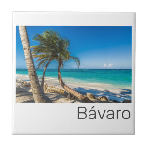 Bavaro Beach Caribbean Dominican Republic Souvenir Ceramic Tile
