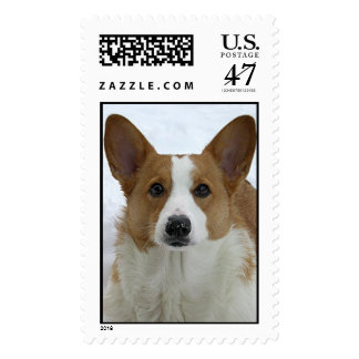 Corgi Dogs Postage Stamps | Zazzle