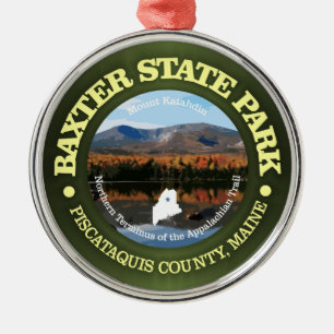 Baxter SP Metal Ornament