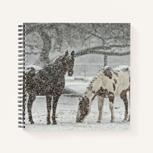 Bay and Paint Horses in Falling Snow Notebook (Front)