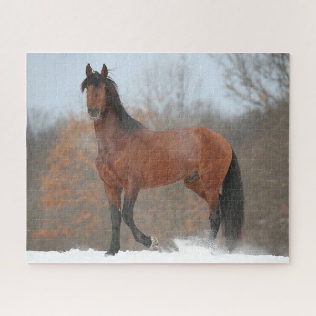 Bay Andalucian Stallion Standing In Snow Jigsaw Puzzle (Horizontal)
