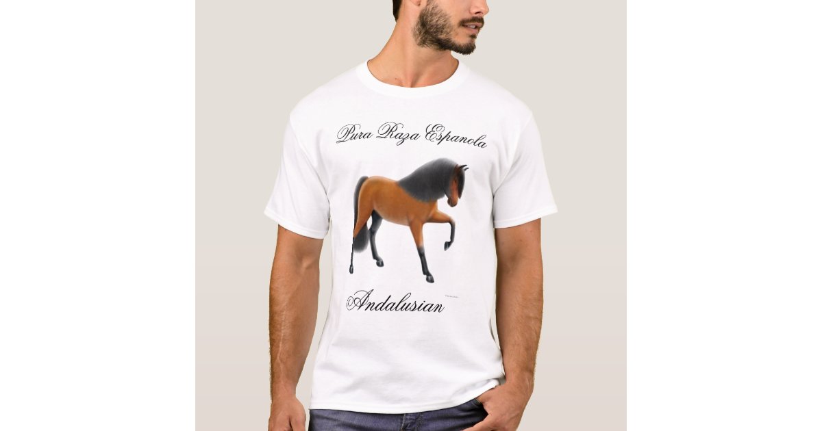 bay andalusian horse