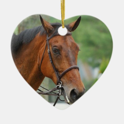 Bay Arab Horse Ornament